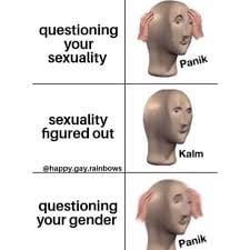 Gay Panik Meme Badge